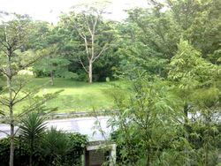 The Teneriffe (D10), Terrace #424274241